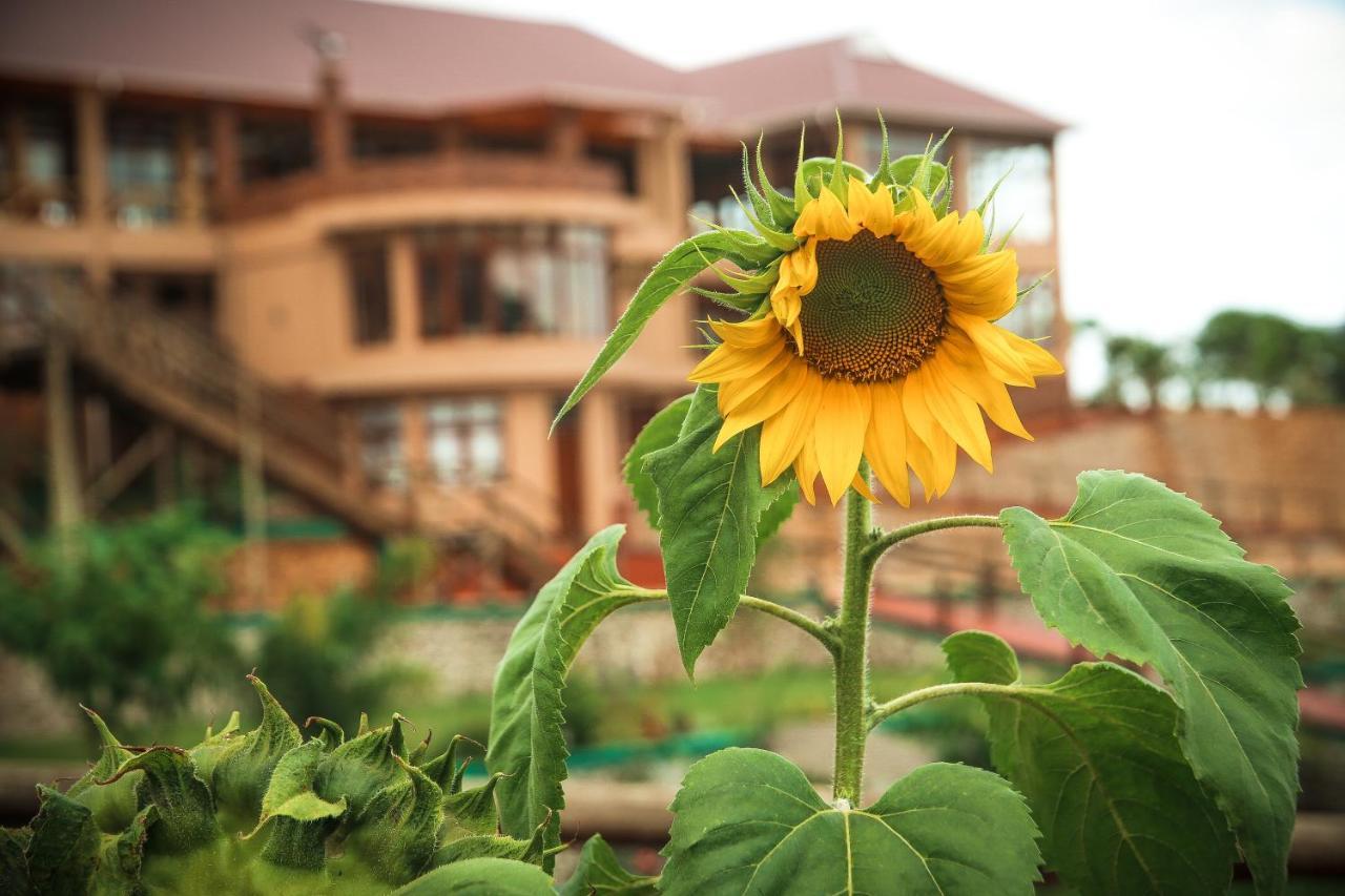 Ngorongoro Marera Mountain View Lodge Karatu Exterior foto